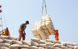 6 tháng, xuất khẩu 3,2 triệu tấn gạo