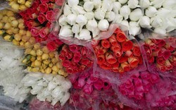 Chợ hoa Quảng Bá đẹp lạ trên báo nước ngoài