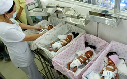 Ca thụ thai thường, sinh 4 hiếm gặp tại Việt Nam