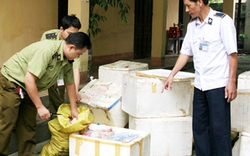 1 tấn nội tạng, chân giò thối tuồn vào Việt Nam