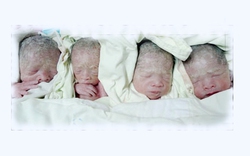 Sau 1 năm, cuộc sống của 4 bé sinh tư ở An Giang thế nào?