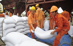 Việt Nam bán cho Ghi-nê 300.000 tấn gạo/năm