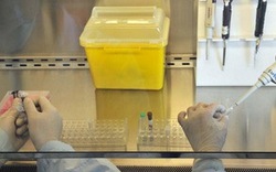 Mỹ chuẩn bị bào chế vắcxin kháng virus cúm H7N9