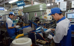 Việt Nam sau 5 năm gia nhập WTO: Nền kinh tế dễ tổn thương!