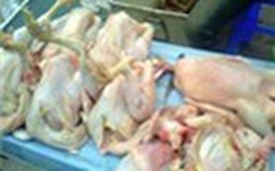Thu giữ trên 78 tấn gà thịt nhập lậu