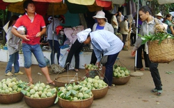 Rau, thịt vẫn mất an toàn