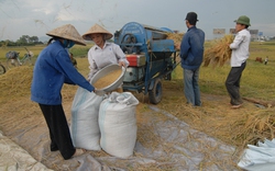 Đừng bắt nông dân “bám” mãi cây lúa!