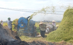 Đẩy nhanh cơ giới hóa trong sản xuất nông nghiệp