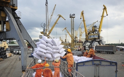 Việt Nam trúng thầu bán cho Philippines 187.000 tấn gạo