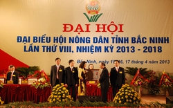 Đại hội VIII Hội Nông Dân Bắc Ninh: Hội phải làm tốt vai trò cầu nối