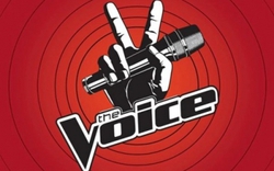 The Voice 2013: Mới lạ với “Cướp” và “Đo ván”