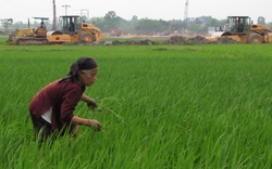 Hỗ trợ chuyển nghề  khi thu hồi đất