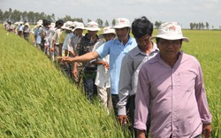 Đại hội VIII Hội ND tỉnh Đồng Tháp: Giúp nông dân thoát nghèo bền vững