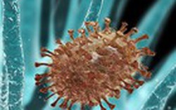 Bộ Y tế khuyến cáo phòng cúm A/H1N1