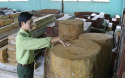 Chi trả tiền dịch vụ môi trường rừng ở Tây Nguyên: “Đếm đầu phát gạo”