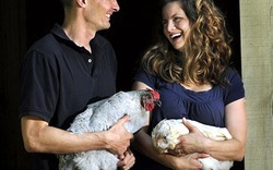 Dân Mỹ nuôi gà kiểng kiếm triệu USD/năm