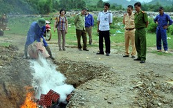 Nhận diện các “trùm” gà lậu Trung Quốc