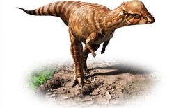 Phát hiện loài khủng long cực lạ