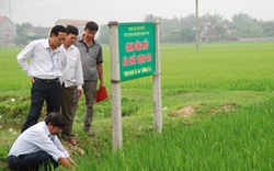 Hà Tĩnh: Hướng nông dân giỏi phát triển sản xuất hàng hóa