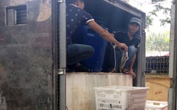 Thủy, hải sản nhập lậu từ Trung Quốc: Mối nguy cho sức khỏe