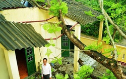 Gần 120 ngôi nhà dân bị lốc xoáy làm tốc mái