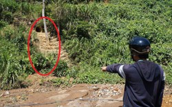 Quảng Nam: Công ty khai thác vàng xả chất độc ra sông