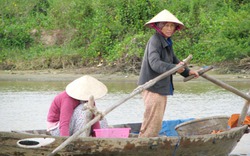 Những người đàn bà ngóng biển