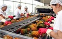 Trái cây, rau củ Việt Nam trở lại EU