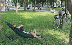 Dân Thủ đô bỏ nhà ra công viên, ngồi lì công sở vì... nóng