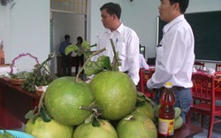 Trung tâm Dạy nghề  Bình Định: Địa chỉ học nghề của nông dân