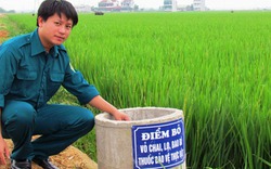Xây dựng nông thôn mới ở Hà Tĩnh: Bí quyết của Tùng Ảnh