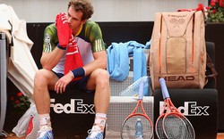 Andy Murray bỏ Roland Garros 2013:  Lùi một để tiến hai