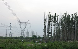 1.100 MW nguồn điện khu vực phía Nam chưa khôi phục được