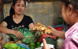 Gừng Trung Quốc vẫn đầy chợ: Độc... nhưng rẻ