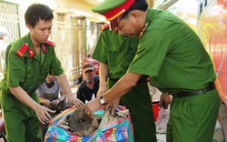 Bắt giữ hơn 100kg trầm hương trên xe khách biển số Lào