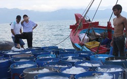 Lo thương nhân ngoại lách luật