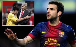 Arsenal “hốt bạc” nếu Fabregas chia tay Barca