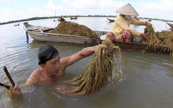 Bảo vệ môi trường: Nông dân đóng vai trò quan trọng