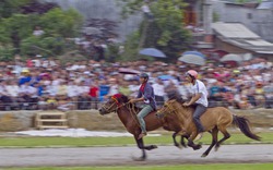 Lào Cai: Khôi phục lễ hội đua ngựa Bắc Hà