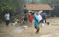 Dịch bệnh, khô hạn vì nắng nóng