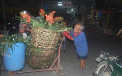 Người lao công “tí hon”