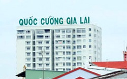 Chủ chung cư Quốc Cường-Gia Lai Q7 hầu tòa