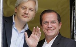 Ông chủ WikiLeaks không dám rời London vì sợ Mỹ bắt