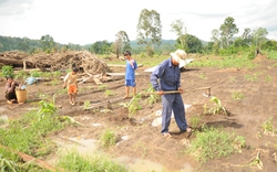 Sau vỡ đập thủy điện: Thiếu đói đang cận kề