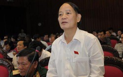 “Đề nghị thông qua Hiến pháp trước”