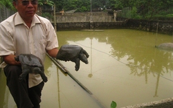 Thoát nghèo, có tích luỹ