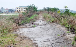 Quảng Ninh: Nước biển tràn qua đê Quan Lạn