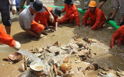 Vớt được bao nhiêu cổ vật từ tàu đắm ở Quảng Ngãi?