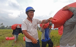 Hiến kế cho Hội NDVN