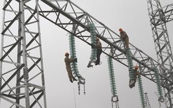 Thủ tướng yêu cầu bảo đảm tiến độ đường dây 500 kV